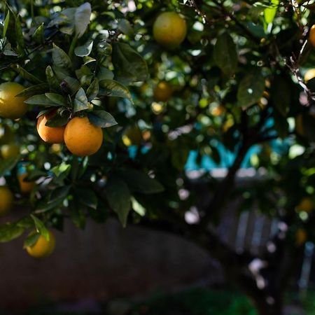 Florit Flats - The Orange Lemon Tree House Villa L'Eliana Luaran gambar