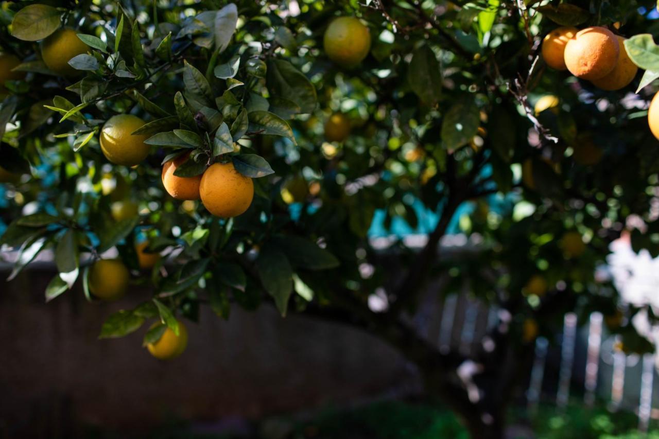 Florit Flats - The Orange Lemon Tree House Villa L'Eliana Luaran gambar